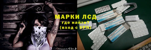 ECSTASY Богданович