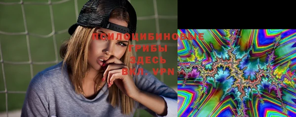 ECSTASY Богданович